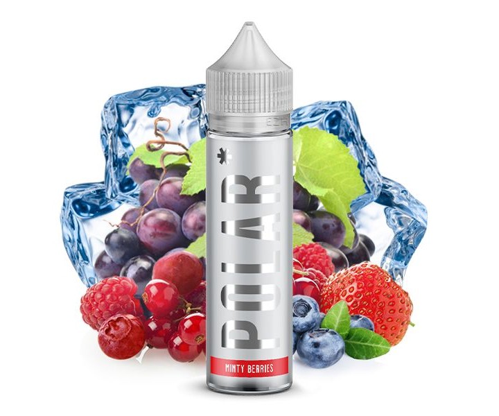 polar-longfill-aroma-20ml-minty-berries